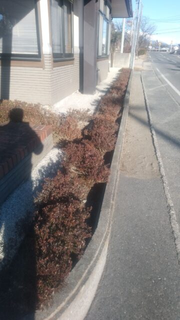 花壇の草対策に防草シートを敷いて玉砂利を敷きました！